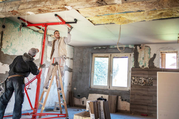 Best Wall Insulation Installation  in Hampton, AR